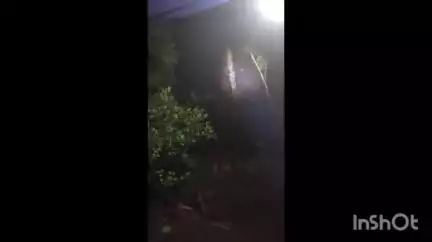 കുന്നത്തുനാട്: പെരുമ്പാവൂർ പാണിയേലിയിൽ ജനവാസ മേഖലയിൽ ഇന്ന് പുലർച്ചെ കാട്ടാനക്കൂട്ടം ഇറങ്ങി