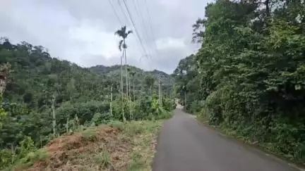 ദേവികുളം: അടിക്കടി ഉണ്ടാകുന്ന വൈദ്യുതി മുടക്കത്തിൽ പൊറുതിമുട്ടി അടിമാലി കുരങ്ങാട്ടിയിലെ കുടുംബങ്ങൾ #localissue