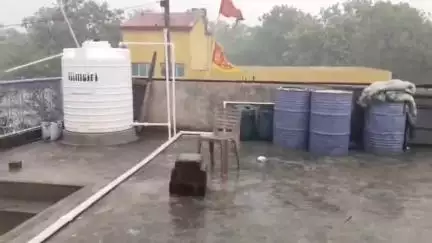 दाड़ी: दाड़ी प्रखंड में मौसम बदला, आंधी-बारिश से कई पेड़ गिरे