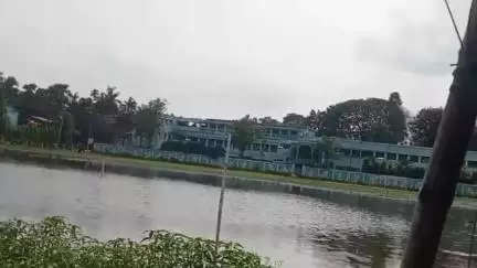 হাঁসখালি: বগুলা শ্রীকৃষ্ণ কলেজের মাঠ ধীরে ধীরে স্থানীয় কাষ্ঠ ব্যবসায়ীরদের দখলে যেতে বসেছে, দাবী এলাকাবাসীদের