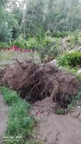 Amroha ke gao manota mai tej andhi ke karan hua kisano ka bahut jyada nuksan