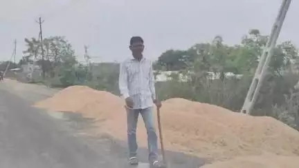 હાંસોટ: હાંસોટ પંથકમાં તાજેતરમાં આવેલા મીની વાવાઝોડા અને કમોસમી વરસાદે ખેતીના પાકને વ્યાપક નુકસાન પહોંચાડ્યું #jansamasya