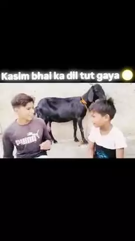 pipla pukhta ka bachcha padayi band hone ke Karan eske dil ka haal bahut jada gambir hai
