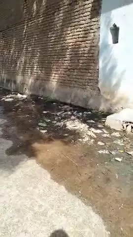 ग्राम थर ग्राम पंचायत कुडयाला ब्लॉक पलेरा ग्राम थर  के अन्तर्गात 
नालीयो की सफाई नही हुई है नालियो का पानी सी सी पर बह #