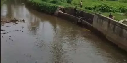 കുന്നത്തൂർ: പവിത്രേശ്വരം പഞ്ചായത്തിലെ വെട്ടിക്കുഴി തോട്ടിലെ ബണ്ട് നിർമ്മാണം,പ്രതിഷേധവുമായി പാടശേഖരസമിതി #localissue