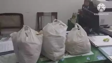 गोहाना: सोनीपत कृषि विभाग ने गोहाना क्षेत्र की दुकानों से बीज के 14 नमूने लिए, जांच के लिए भेजे जाएंगे लैब