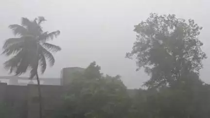 शाहूवाडी: मलकापुरात वाहतूक कोंडी, भर पावसात ट्रॅफिक मध्ये पर्यटकांचा डान्स, व्हिडिओ व्हायरल.