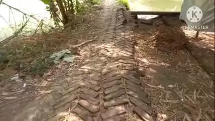মথুরাপুর ১: বড়াশী মুসলিম পাড়া এলাকায় দীর্ঘ কয়েক বছর ধরে বেহাল রাস্তা সমস্যার মধ্যে পড়েছে  এলাকাবাসীরা#jansamasya