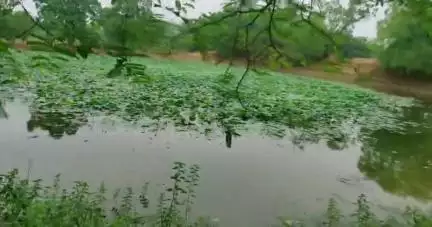 लंबी उम्र जीने का यह रहस्य आप जरूर जान लीजिए