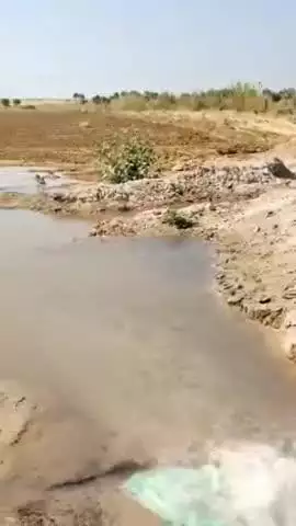 शिव: चौखाणियों की ढाणी स्थित सरकारी ट्यूबवेल से लगातार व्यर्थ बह रहा पानी, वीडियो हुआ वायरल
