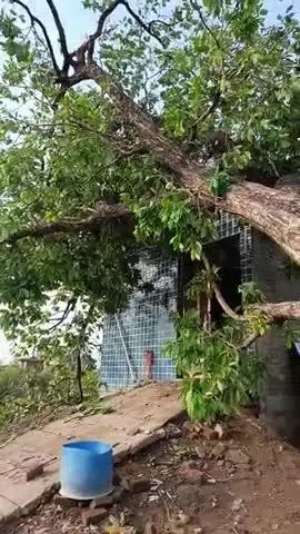 aaja Nagar gadhiya road pe पेड गिर्ने से 
huaa bhari nuksan