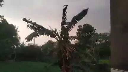 राशमि: राशमी में तेज हवाओं के साथ बूंदाबांदी शुरू, मौसम का बदला मिजाज, किसानों को मिली राहत