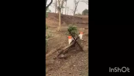 आठनेर: ग्राम टाकी में आंधी-तूफान से गिरे बिजली के पोल, पाँच दिनों से अंधेरे में ग्रामीण