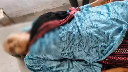 लडभड़ोल: पतरैण में खेतों में घास लाते समय ढांक से गिरकर बुजुर्ग महिला की हुई मौत