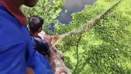 पुष्कर: पुष्कर रोड स्थित झील के अंदर से सांप का किया रेस्क्यू, सुरक्षित निकाला गया, जख्मी बताया जा रहा है सांप