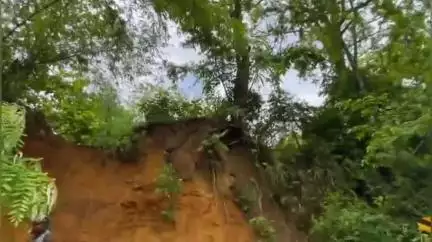 জিরানিয়া: হাতাইকাতরে জাতীয় সড়কের পাশে বনদপ্তরের জমি থেকে অবৈধভাবে মাটি কেটে নিচ্ছে মাটি দস্যুরা #jansamasya