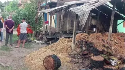 तारडीह: मछैता गांव में आग लगने से घूरन झा के बछड़े और गाय की मौत, CO ने कहा मुआवजा मिलेगा