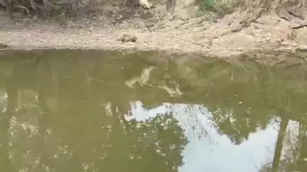 ସୋହେଲା: ଝର ଗ୍ରାମ ନିକଟ ବଡ ନାଳରେ ପାଣି ସମସ୍ୟା, ଝର ଓ ଖପାନପାଲୀ ଗ୍ରାମବାସୀ ଗାଧୋଇବା ପାଇଁ ହନ୍ତସନ୍ତ #jansamasya