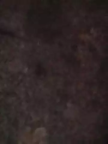 bhathapara,balodabajar,cg,sidhbaba daru bhatthi me ki selsman ne grahako se mar pit