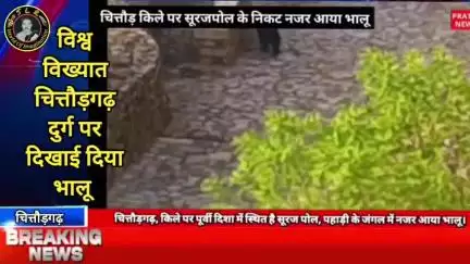 विश्व विख्यात चित्तौड़गढ़ दुर्ग पर भालू के दिखाई देने पर क्षेत्र में हड़कंप