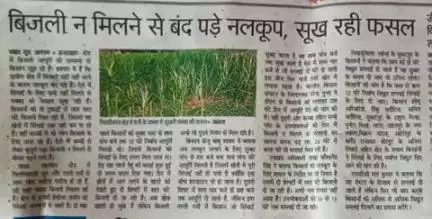 #इटावा : बिजली कटौती से फसल सूख रही है।
#Etawah:The crops are drying up due to power cuts.
#rajendra_yadav 
#National_President
#भारतीय_किसान_संगठन