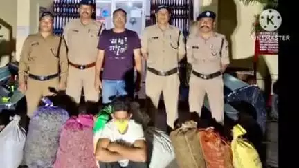 सल्ट: पुलिस टीम ने आईएमपीसीएल फैक्ट्री के पास ₹21 लाख कीमत का गांजा बरामद कर एक अभियुक्त को किया गिरफ्तार