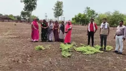 खिलचीपुर: नगर परिषद द्वारा अमृत मिशन 2.0 के तहत 'वूमेन फॉर ट्री' अभियान का किया गया शुभारंभ