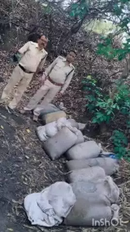 आबकारी विभाग की खुरसोड़ी में बड़ी कार्रवाई, नाला किनारे से 960 किलो महुआ लाहन जब्त