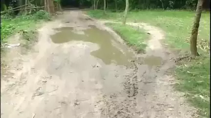 ইসলামপুর: কমলাগাঁও সুজালি গ্রাম পঞ্চায়েতের নান্দই গ্রামের রাস্তার বেহাল দশা, দ্রুত রাস্তার কাজ করার দাবি গ্রামবাসীদের #jansamasy