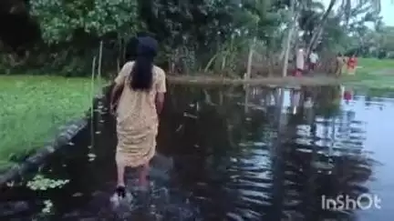 കുട്ടനാട്: ചമ്പക്കുളം  ചൂരത്തറ കോളനി നിവാസികൾക്ക് വഴിയും വൈദ്യുതിയും ലഭ്യമാക്കണമെന്ന ആവശ്യം ശക്തം #localissue