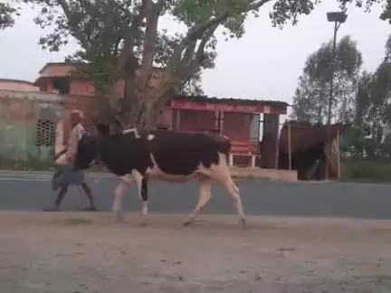aab chalaga pani wala four wheels (char chaka)thar🤩😍😍😍janiya Kitna kiraya lagaga
