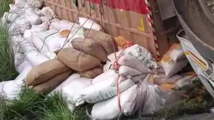रसलपुर गांव में एथनॉल प्लांट के पास मक्के से लदी ट्रक गड्ढे में गिरी, टला बड़ा हादसा
