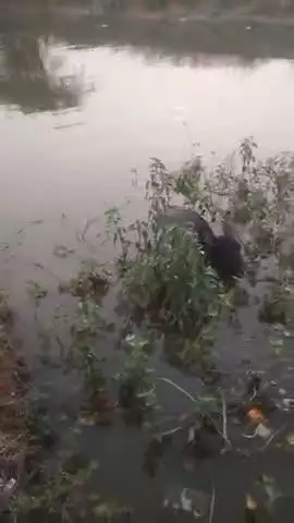 ओला पात@र जिला महोबा उत्तर प्रदेश