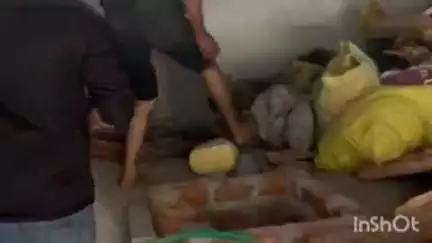 देलवाड़ा: देलवाड़ा के मजेरा में सीबीएन की बड़ी कार्रवाई, 213.900 किलोग्राम अवैध डोडा चूरा बरामद, एक व्यक्ति गिरफ्तार