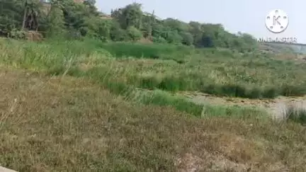 आष्टी: जुना अंतुरा वर्धा नदीपत्रातून रेतीची अवैध वाहतूक  ट्रॅक्टर सह पोलिसांनी  एकूण ७ लाख ५ हजार रुपयांच्या मुद्देमाल जप्त