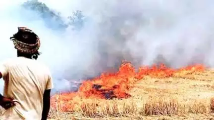 बहरी: सीधी जिले में खेतों में नवाई चलने पर होगी कार्रवाई, कलेक्टर ने दिए निर्देश
