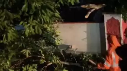 പുനലൂർ: ശക്തമായ മഴ, ജില്ലയിൽ യെല്ലോ അലർട്ട് പ്രഖ്യാപിച്ചു, കാര്യറയിൽ മരം വീണ് ഗതാഗതം തടസ്സപ്പെട്ടു