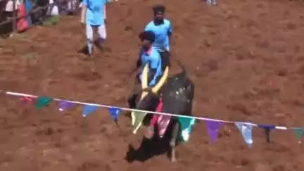 காளையார்கோவில்: மறவமங்கலத்தில் ஜல்லிக்கட்டு: 15 பேர் காயம்