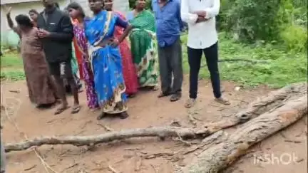 ಕೆ.ಜಿ.ಎಫ್: ನಗರದಲ್ಲಿ  ಒಣಗಿದ್ದ ಮರ ಬಿದ್ದು ಮಹಿಳೆ ಸಾವು.
