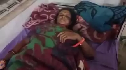 घाघरा: जलावन के लिए लकड़ी काटते समय पेड़ से गिरकर दरदाग टोटाम्बी निवासी महिला घायल