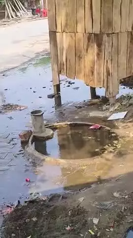 ग्राम पुनहरा जलेसर एटा मै प्रधान को बार बार सूचित किया फिर भी कोई सुनवाई नहीं हुई गंदगी के कारण लोगों दिक्कत आ रही है