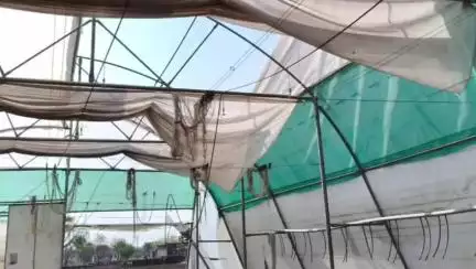 आनंदपुरी: राम का मुन्ना गांव में अंधड़ से पॉलीहाउस को हुआ भारी नुकसान, पीड़ित ने की आर्थिक सहायता दिलाने की मांग