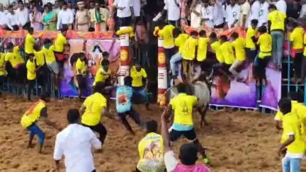நல்லம்பள்ளி: தடங்கம் பகுதியில் 3-ம் ஆண்டு மாபெரும் ஜல்லிக்கட்டு போட்டியில், 600 காளைகள் 525 மாடுபிடி வீரர்கள் பங்கேற்பு.