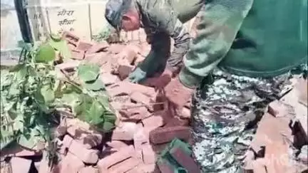 कुंवरिया: ग्राम पंचायत वणाई में अजगर के आने से मची अफरा-तफरी, वन विभाग की टीम ने किया रेस्क्यू और सुरक्षित जंगल में छोड़ा