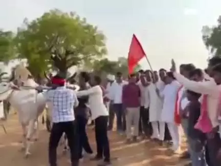 करेरा: करैरा के ग्राम सलैया डामरोन में बैलगाड़ी दौड़ प्रतियोगिता आयोजित, पूर्व जनपद अध्यक्ष मुकेश खटीक ने दिखाई हरी झंडी