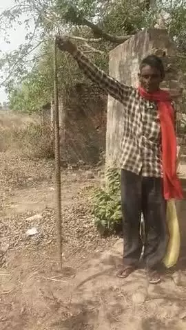 sundar Lal Sapera
सांप की जान बचाकर जंगल में छोड़ रहे हैं