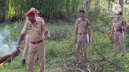 তিতাবৰ: তিতাবৰত আৰক্ষীয়ে জব্দ কৰা ভাং জ্বলাই নষ্ট কৰে,  প্ৰায় ১১০ কেজি ভাং জ্বলাই নষ্ট