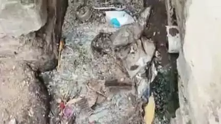 पिपरिया: पिपरिया के राजीव गांधी वार्ड नंबर 3 में नाली की सफाई न होने के चलते रहवासी हो रहे परेशान #Jansamasya