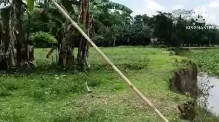 দেৰগাঁও: ৰঙামাটিত গেলা বিল নদীৰ ভয়াৱহ গৰা খহনীয়াত জাহ গৈছে ৫ শ বিঘাতকৈ অধিক মাটি,শংকিত ৰাইজ #jansamasya