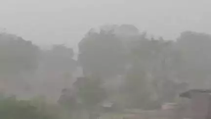 सुठालिया: सुठालिया लखनवास क्षेत्र के गांवों में तेज बारिश से गिरे पेड़, बिजली ठप्प